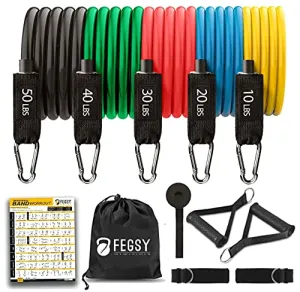 FEGSY Resistance Bands Set for Exercise, Stretching, and Workout Toning Tube Kit with Foam Handles, Door Anchor, Ankle Strap, and Carrying Bag for Men, Women (Natural Latex)