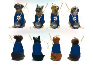 Team Dog Ornaments, 4 Assort., Winnipeg Jets,3ot4379dg