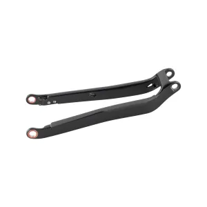 TREK RAIL 29 CARBON CHAINSTAYS