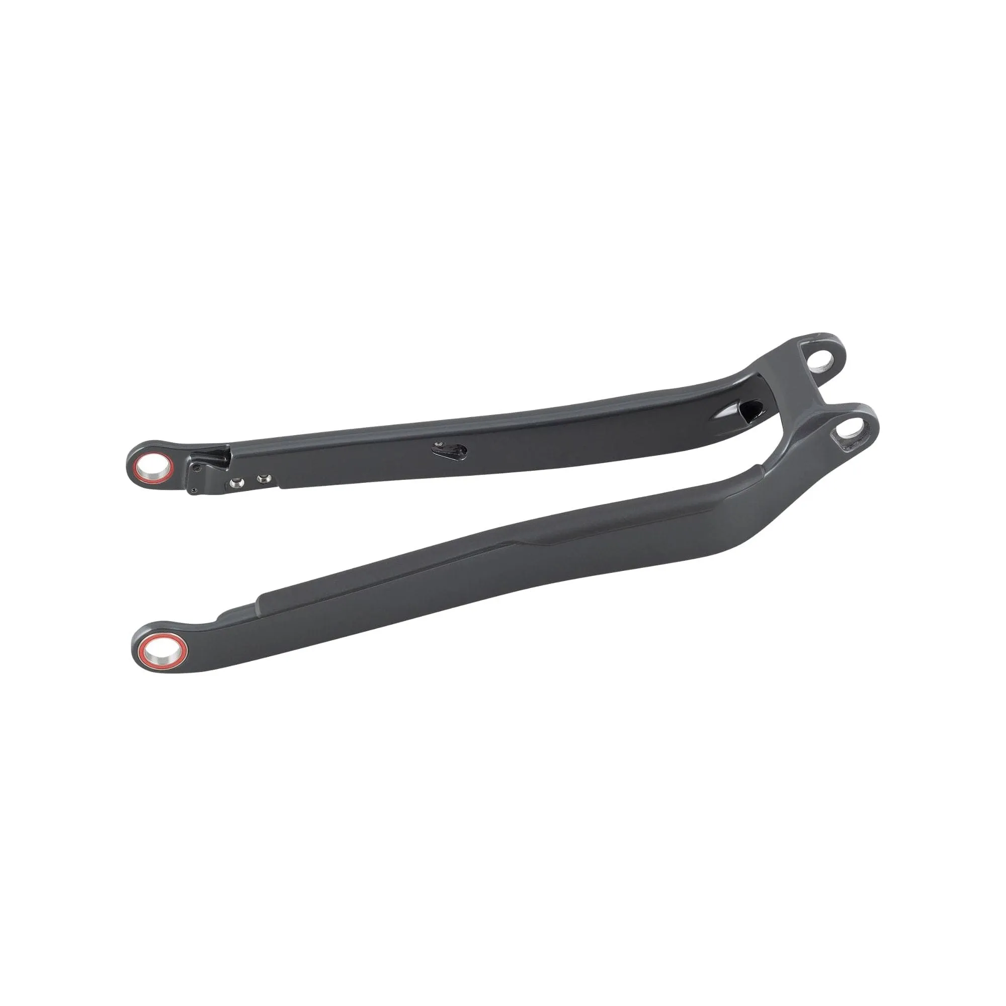 TREK RAIL 29 CARBON CHAINSTAYS