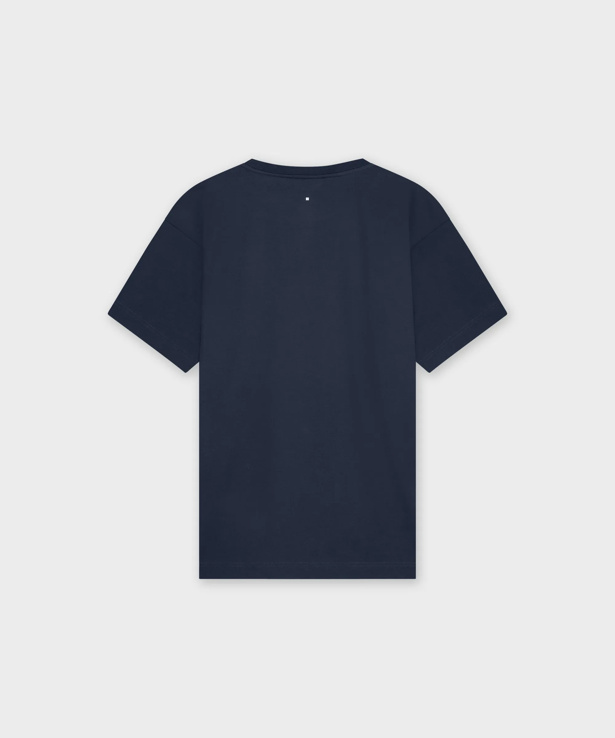 TS 01 Essence Regular Lightweight Blueberry
