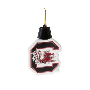 University of South Carolina, Acrylic LED,3ot954acry